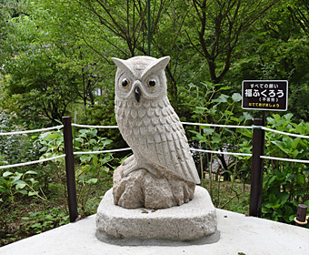 フクロウ案内 鷲子山上神社