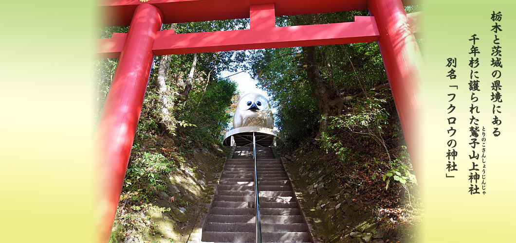 鷲子山上神社 栃木と茨城の県境にあるフクロウで有名な神社です